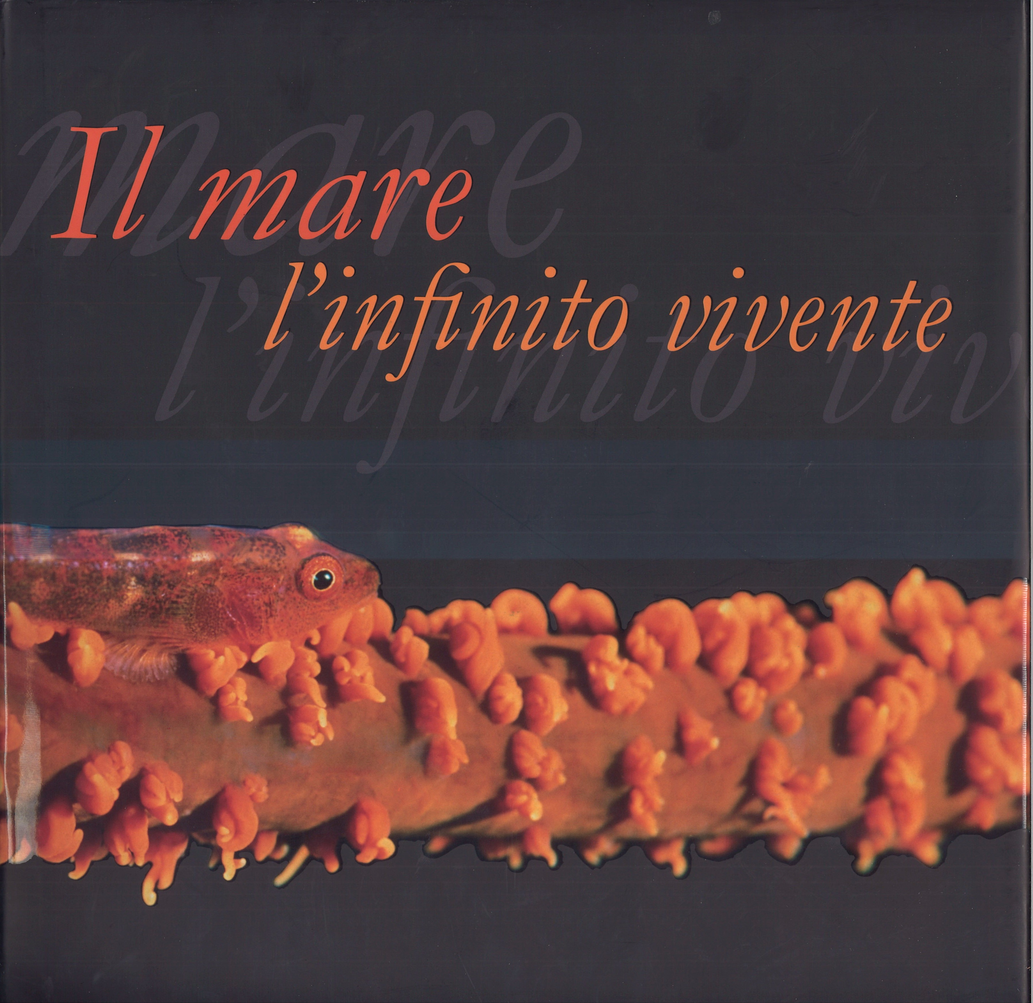 Il mare, l’infinito vivente  + CD