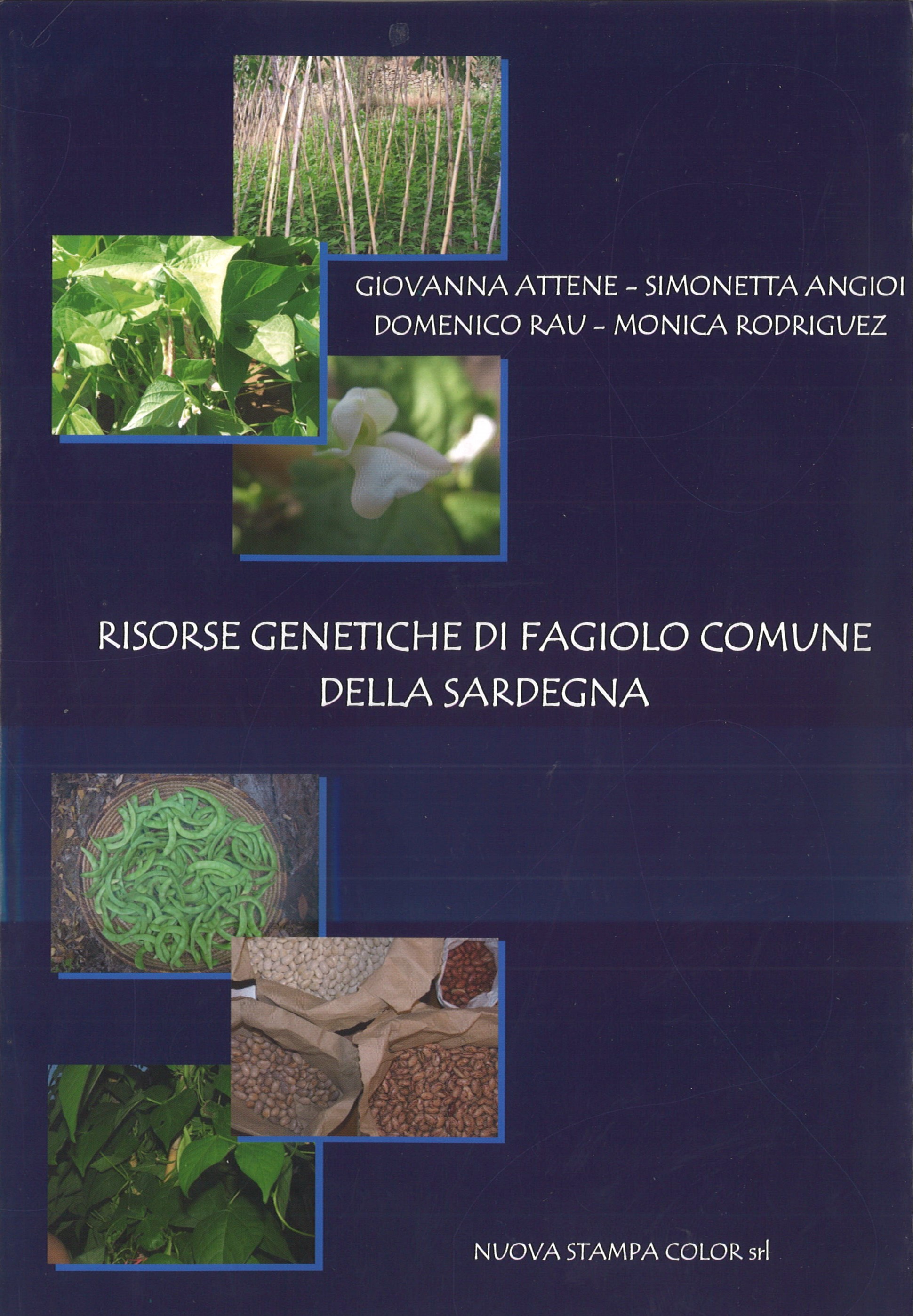 RISORSE GENETICHE DI FAGIOLO COMUNE DELLA SARDEGNA