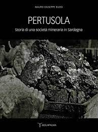 Pertusola : storia di una società mineraria in Sardegna