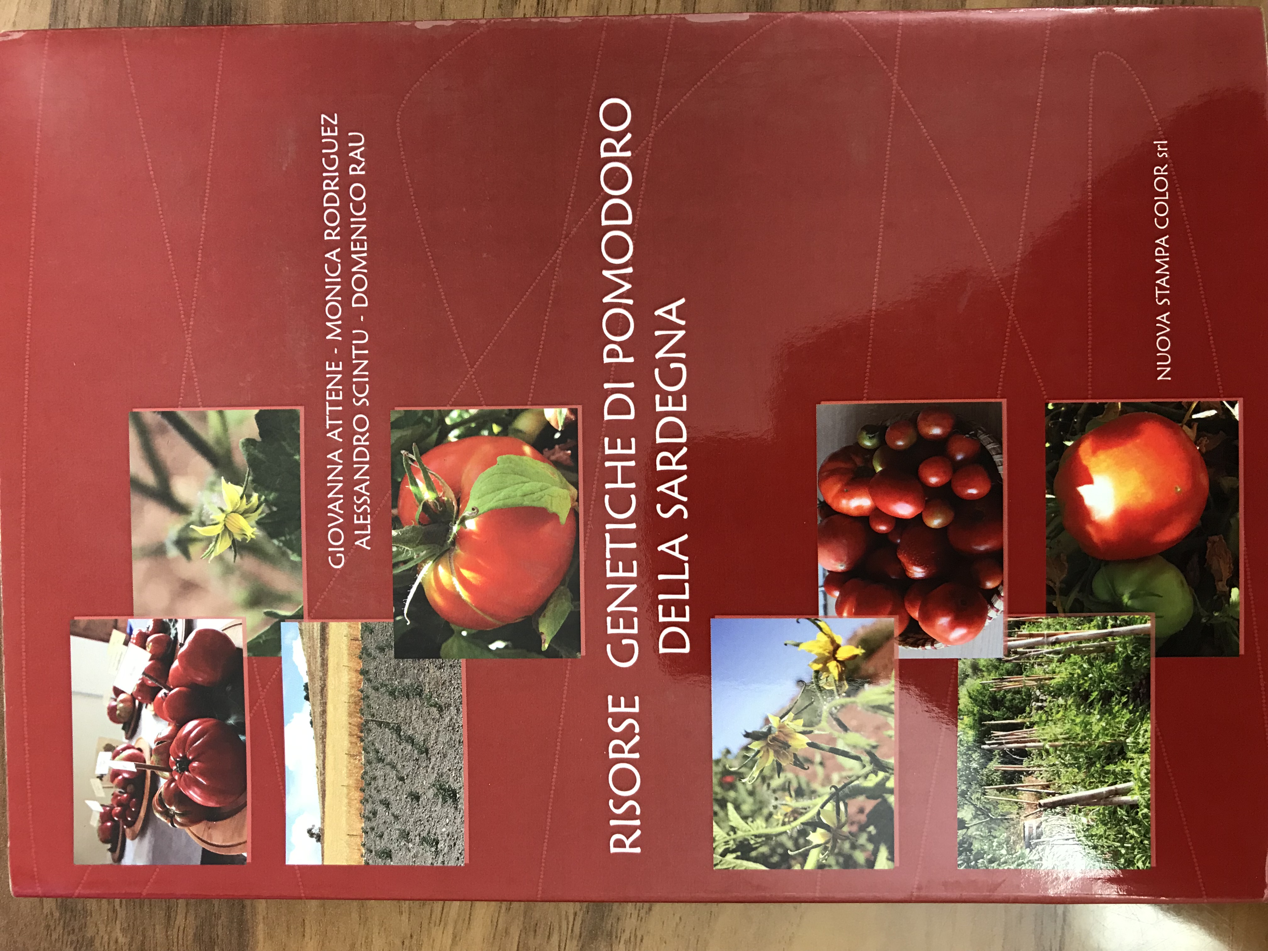 Risorse genetiche di pomodoro della Sardegna