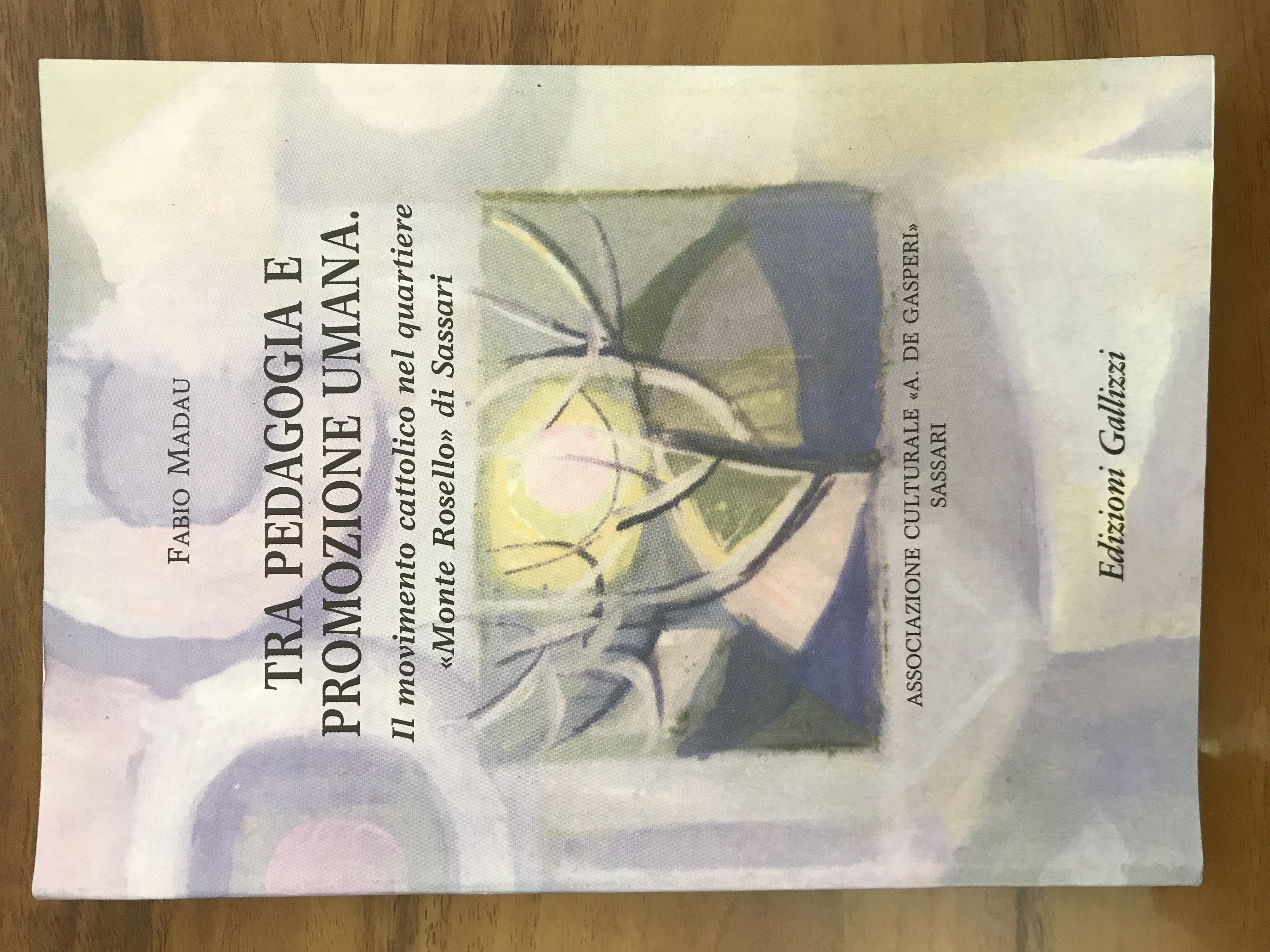 Tra pedagogia e promozione umana. Vol. 17
