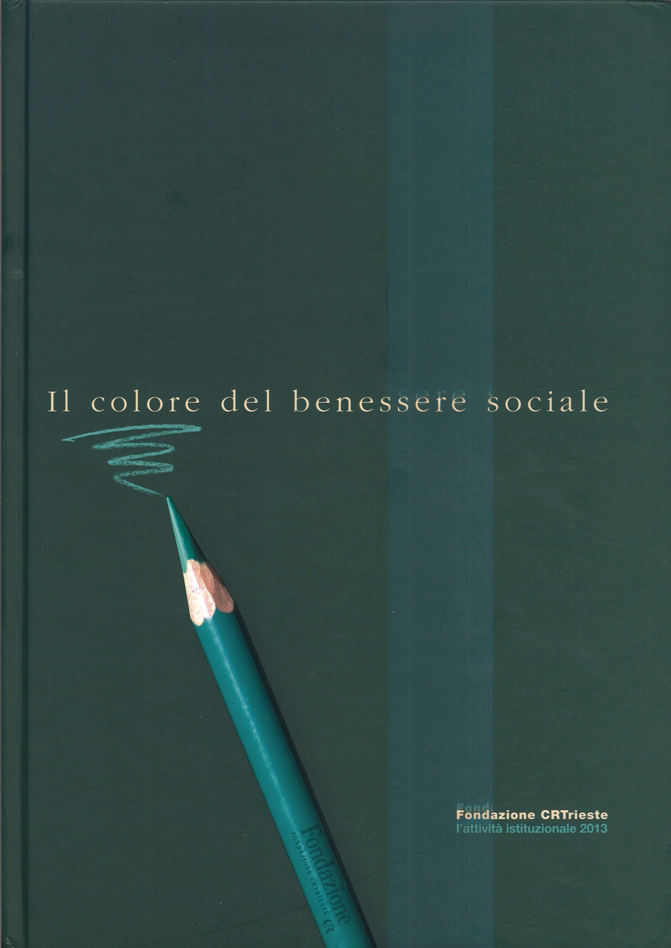 Fondazione CRTrieste / Il colore del benessere sociale / l’attività istituzionale 2013 /