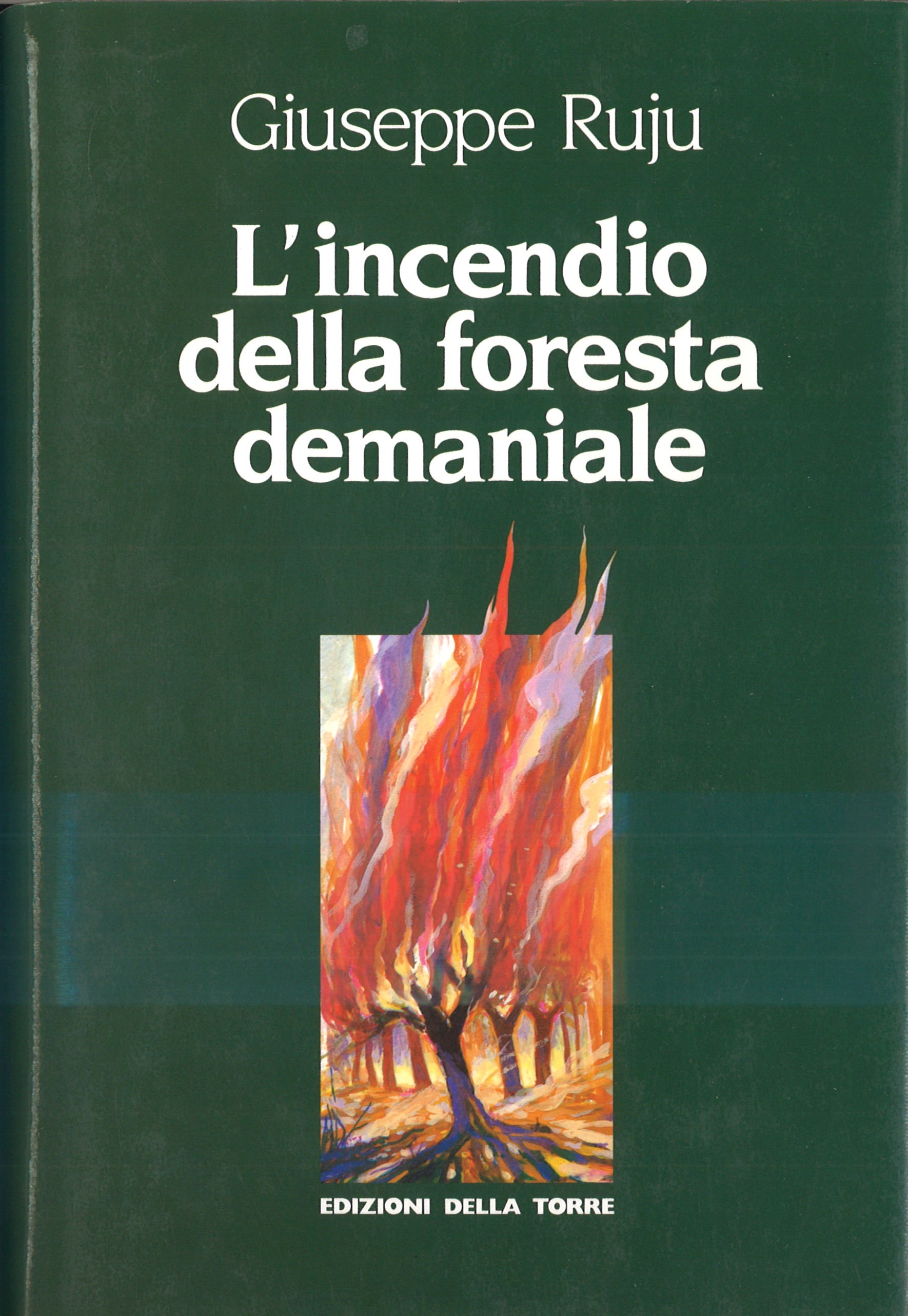 L’incendio della foresta demaniale