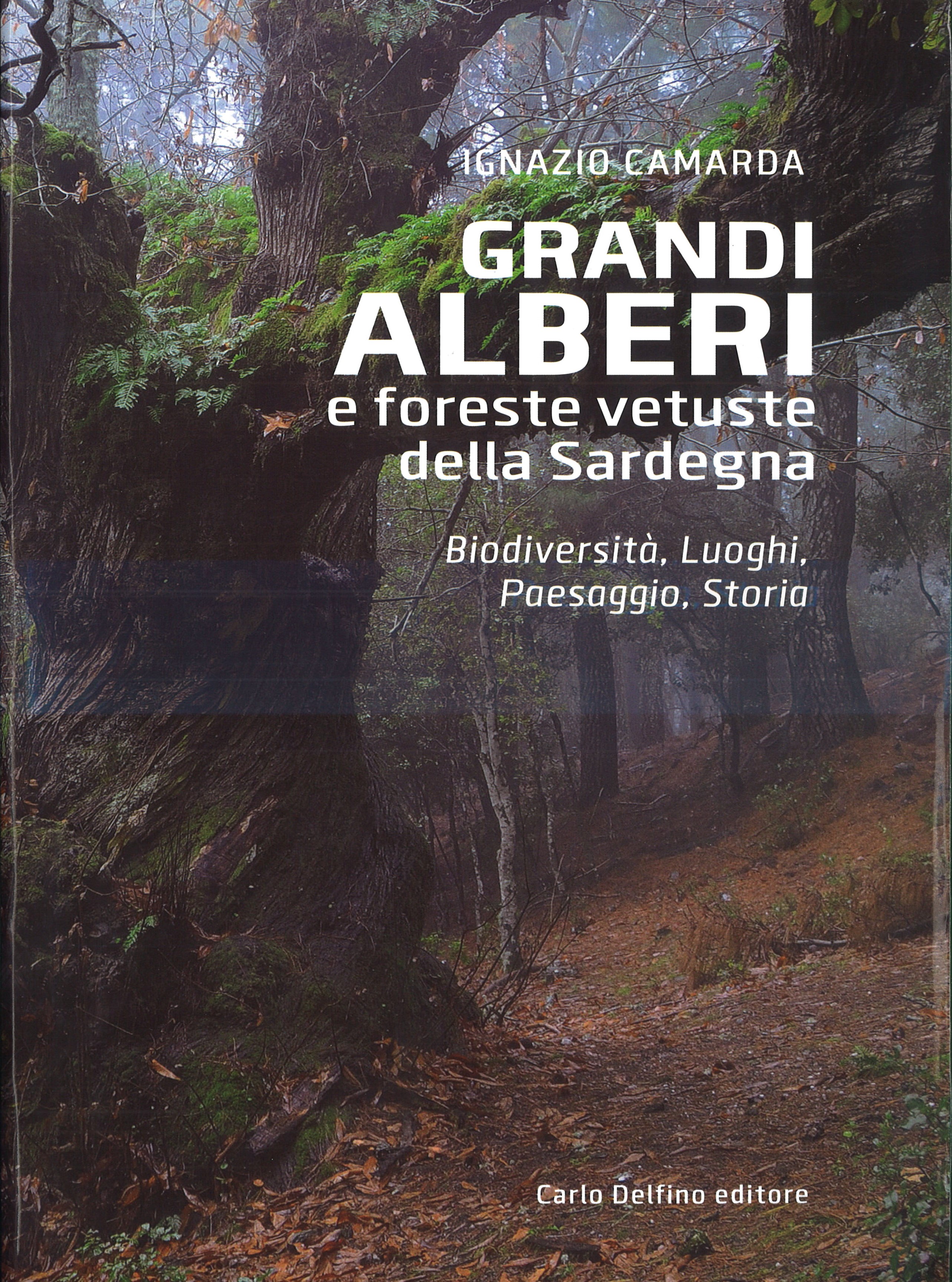 GRANDI ALBERI e foreste vetuste della Sardegna