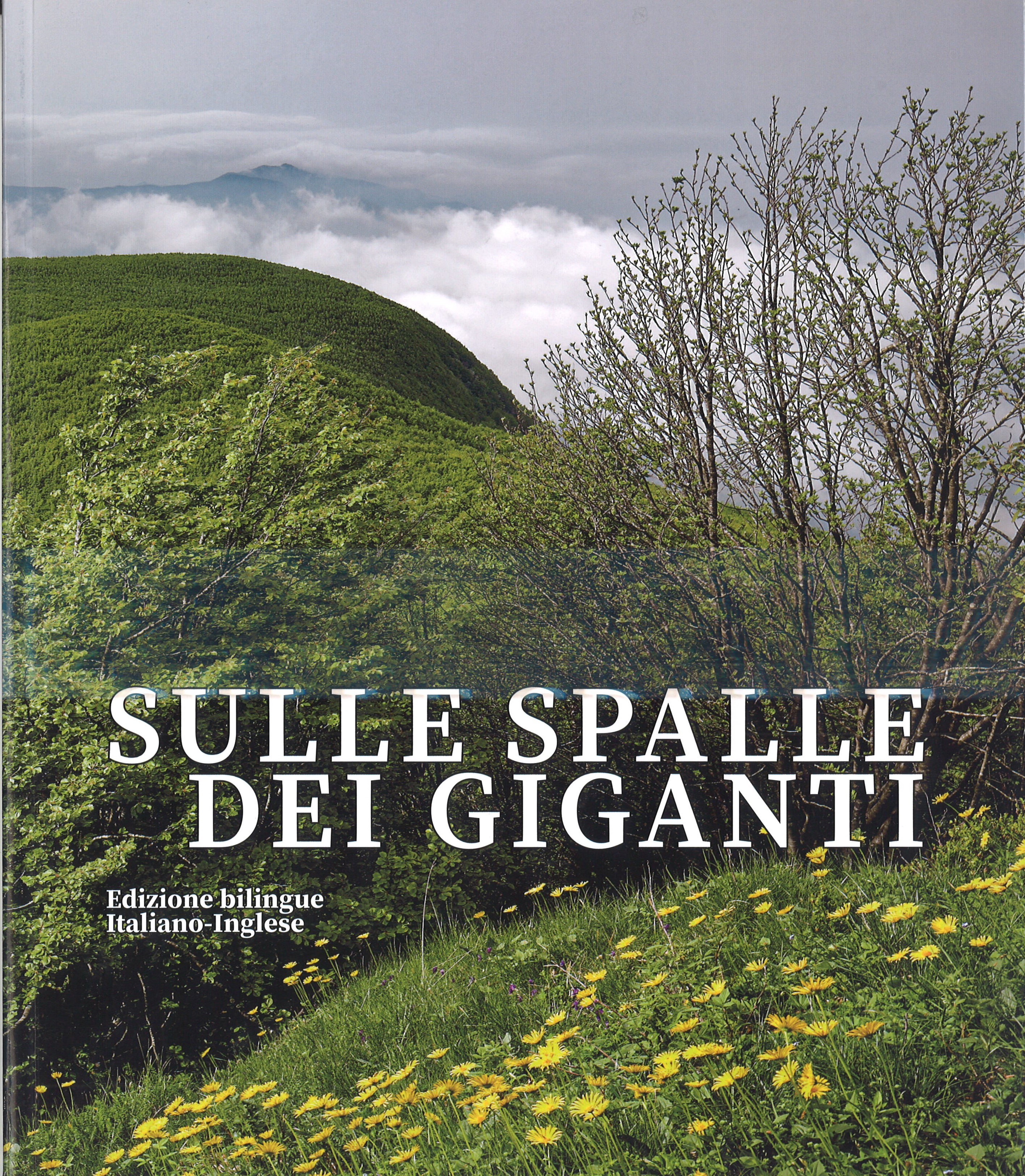 SULLE SPALLE DEI GIGANTI