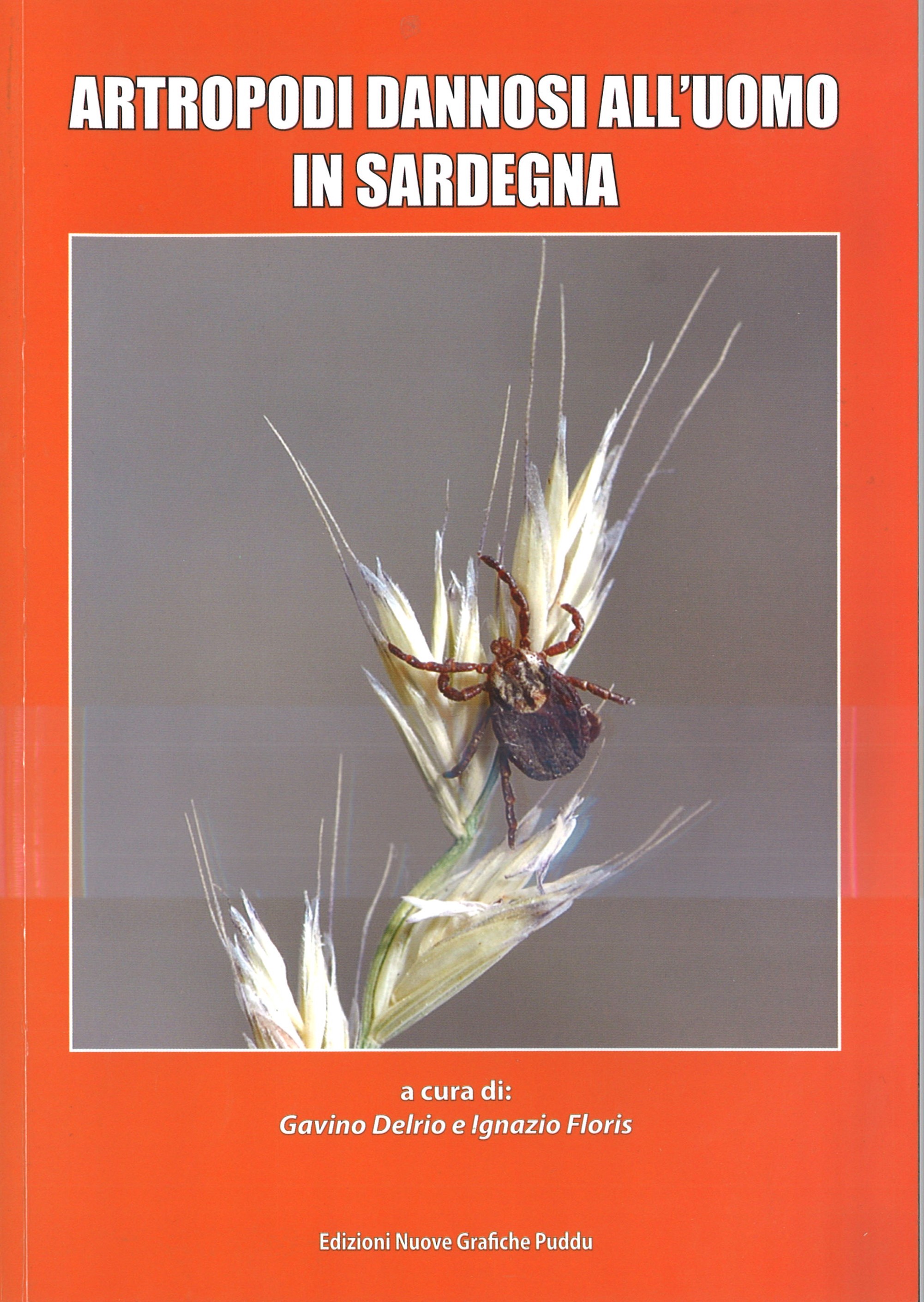 ARTROPODI DANNOSI ALL'UOMO IN SARDEGNA vari